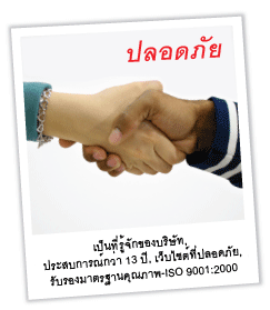 งานซื้อปริศนาปลอดภัย